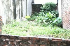 Bán lô đất phố trạm. oto đỗ cổng. chỉ 57 trm2.