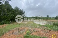 Chính chủ cần bán lô đất thanh an, cam lộ, quảng trị