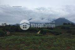 Cần bán lô đất nghỉ dưỡng lý tưởng 5100m2 tại thôn mộc,minh quang,ba vì