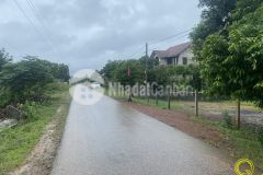 Bất động sản quảng trị cập nhật mới tháng 1120210325568068đất cam lộ