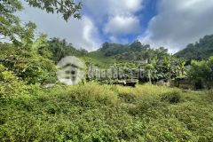 Chính chủ cần bán mảnh đất 1ha tại phiêng luông mộc châu,điểm cuối tốc giá đầu tư