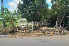 Cần bán đất vườn 1001m2 củ chi giá chỉ 1 tỷ 8