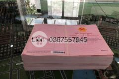 Hàng 100m siêu hot nam vĩnh yên