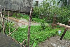 Bán gấp lô đất cực hiếm thụy phương bắc từ liêm, 211m2, mt 15m, ô tô tránh, view hồ, giá đầu tư, 083.664.6314.