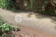 Bình phước,có suối mát,có đường ô tô chạy,điện lưới,giá 2xx