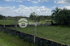 Đất vườn củ chi giá rẻ ngộp bán nhanh lô góc 2 mt 503m2 giá chỉ 1ty198 shr