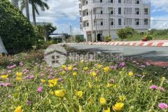 Kcn phước đông cần đước long an