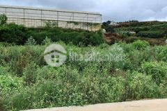 Đầu tư nền đất nn 504m2 chuyển đổi xây dựng chỉ với giá 2,4 tỷ tại xuân thọ, tp. đà lạt