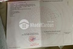 Bán đất đấu giá trung tâm thị trấn vân đình ô góc mặt đường lớn view công viên