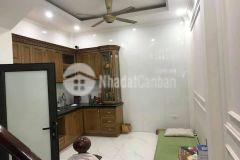 Bán nhà phố phúc đồng, long biên 33m, 5t, oto vào nhà, gần big c, kđt sài đồng, từ 3 tỷcăn