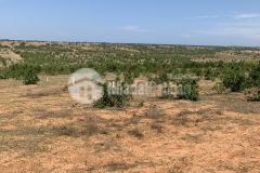 Bán đất view safari flycam đẹp như hình 1,4 ha, tiềm năng phát triển du lịch