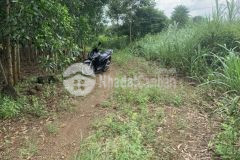 Gia đình tôi kẹt ngân hàng bán nhanh lô đất cực kì đẹp, sổ sẵn,ven rừng hiếu liêm, đồng nai.