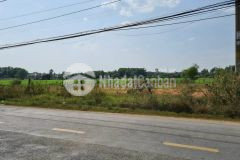 Cần tiền bán gấp lô đất 1002m2 củ chi giá chỉ 1 tỷ 6