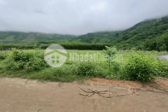 Bán đất khánh đông gần suối giá rẻ làm mini farm