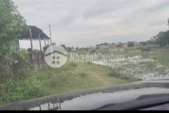 Bán gấp 3145m2 đất xã vĩnh lộc a, bình chánh, shr, chỉ 13trm2. lh0933629408