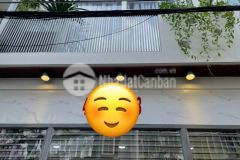 Nhà sát mặt tiền siêu đẹp, phạm văn chiêu gò vấp 3.95 tỉ