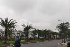 Hiếm đất việt hưng, phân lô, thông cổng vinhome, ô tô tránh, kinh doanh đỉnh, 88m2, 11 tỷ