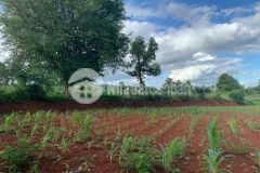 Bán lô đất siêu siêu siêu đẹp ở phường khánh xuân