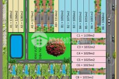 Chỉ 1.55tỷ có ngay 1038m2 đất phước hội đất đỏ brvt cơ hội đầu tư