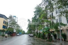 Bán gấp 54m2 đất dịch vụ yên nghĩa, mt4.3m, không lỗi phong thủy, hơn 3 tỷ