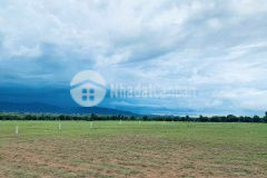 5000m2 đất hồng thái giá đầu tư chỉ 600 triệu, shr công chứng sang tên ngay