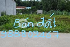 Đất shr 5x31,8 thổ cư hiệp thạnh gò dầu tây ninh