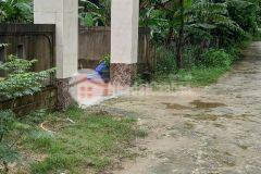 Mua bán đất giá rẻ cam lộ,quảng trị