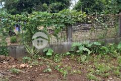 D683 bán đất mặt tiền kinh doanh tăng ju eakao giá 1.5 tỷ