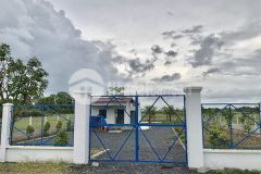 Bán đất vườn ở tỉnh lộ 7, củ chi có sổ hồng riêng