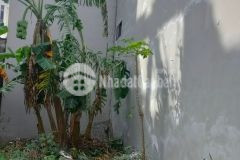 Bán đất liền kề khu đg mậu lương 60m2, mt5.0m, 5.28 tỷ