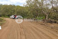 Anh chủ đẹp trai cần bán lô đất bình phước dt 5x30 100m tc giá 249tr