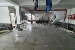 Bán ccmn nguyễn chí thanh 123m2x8t 36p kk dòng tiền 2 tỷnăm