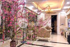 Mặt phố trần quốc vượng 45m2x5t, vỉa hè ô tô tránh, kinh doanh sầm uất, nhỉnh 13 tỷ.