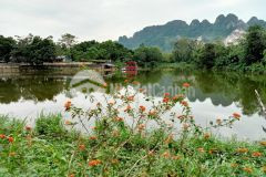 Bán 1000m có 200 thổ cư bám hồ giá 1.9trm2 tại lương sơn