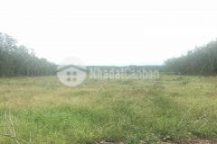 Bán đất ấp đường long,thạnh đức,gò dầudt 11235m21.1 ha,giá 2.6 tỷ