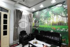 Cần bán lô góc bùi xương trạch nhà đẹp thoáng, ngõ rộng, an sinh tốt. giá chỉ 3.2 tỷ.