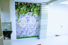 Bán nhà phạm văn chiêu gò vấp, ô tô ngủ trong nhà, 4 tầng nhà mới chỉ có 100 triệu m2