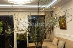 Bán nhà phố bạch mai, dt 85m, 4 tầng, mt 3.5m, giá 4.8 tỷ.