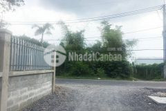 Bán đất củ chi mặt tiền giá đầu tư 800m2 phú hòa đông củ chi