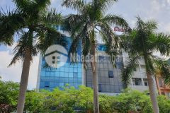 Bán tòa nhà văn phòng đường lê đức thọ, 8 tầng thang máy hầm, dt 105m2 x mt 7m, 35 tỷ