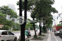 Bán nhà mặt phố kim mã,2 làn đường,vị trí đắc địa,65m x 3 tầng,mt4m nhỉnh 15 tỷ