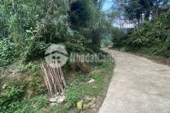 Mảnh đất 196m2 y týsapa2 giá cực đẹp cho các nhà đầu tư.