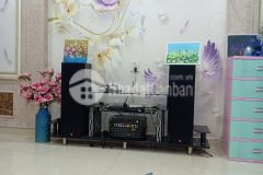 Cần bán nhà phương lưu gần lộc vừng đỏ 65m2 x 3,5 tầng chỉ 3,1 tỷ