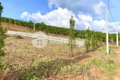 Bán 4 lô biệt thự tp bảo lộc, 558 820m2, shr, 2.5 3trm2. lh0906626772