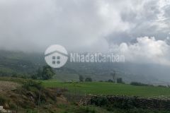 Chỉ còn một mảnh 300m2 duy nhất tại lao chải, y tý phù hợp cho nhà đầu tư đón sóng quy hoạch