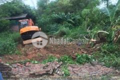 Cần tiền bán gấp giá rẻ đất nền đẹp, lô góc xây biệt thự nhà vườn rất đẹp chỉ cách ngã tư vọng 40km.