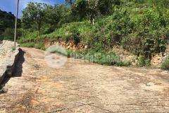 Bán nhanh lô 1.1 ha đất mộc châu cực thích hợp làm homestayfarmstay