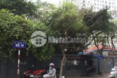 Bán đất phố đaị từ dt 68m2, mt 4m. chỉ nhỉnh 60 triêu m2