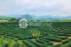 Bán mảnh đất mặt đường khu nội thị bó pun giá đầu tư lợi nhuận cao