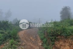 Mảnh đất gần 1000m2 vị trí đắc địa bậc nhất y tý để đầu tư